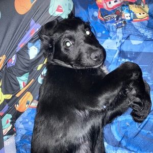 Meet your Posher, Alicia